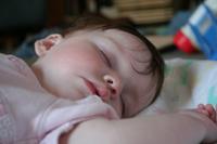 IMG_8490