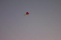 DCP_1463.JPG
