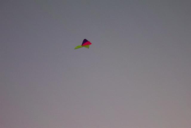 DCP_1463.JPG