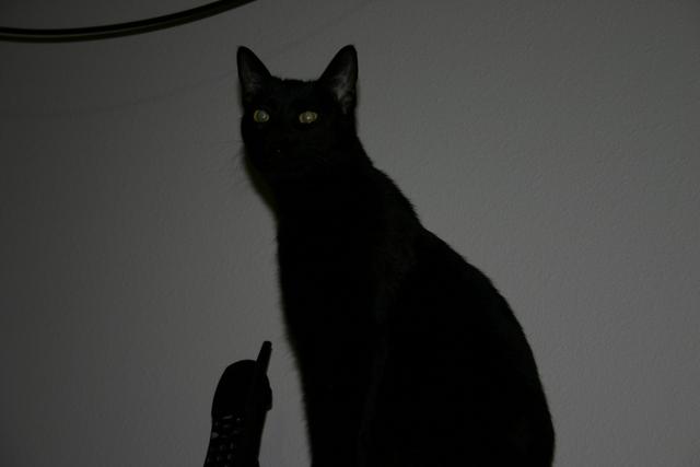img_0133.jpg