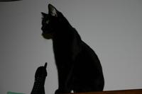 img_0136.jpg
