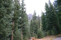 img 0379