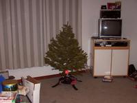 DCP_0009.JPG