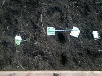2011-05-01_16-58-06_903