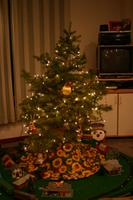 img_0918.jpg
