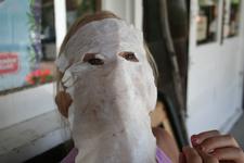 IMG_9759