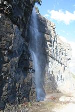 IMG_9856