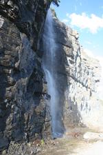 IMG_9860