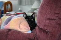 img_2195.jpg