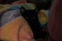 img_2196.jpg