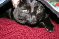 img_2203.jpg