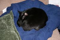 img_2323.jpg