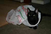 img_2327.jpg