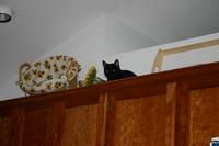 img_2328.jpg