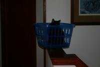 img_2332.jpg