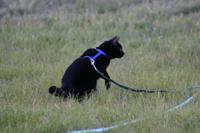 img_2413.jpg