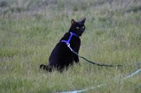 img_2414.jpg