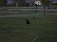 100_0713.JPG
