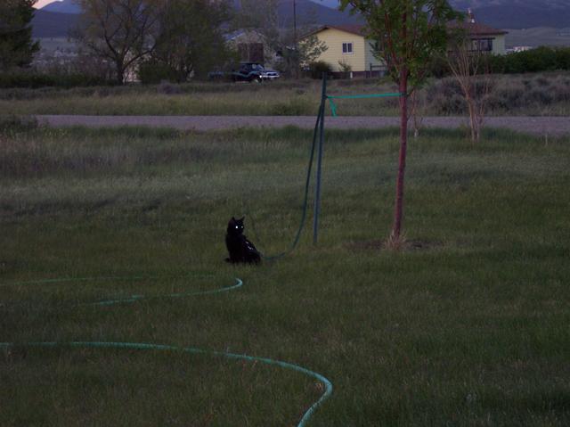 100_0714.JPG