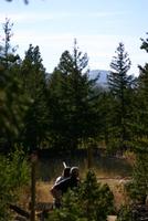 img_3939.jpg