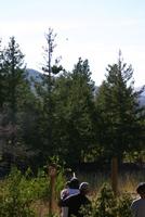img_3946.jpg