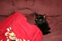 IMG_5206.JPG
