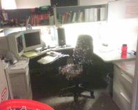 Gerry's Bubble Chair