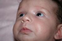 IMG_6694.jpg
