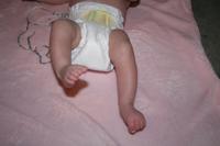 IMG_6703.jpg