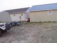 This is the area between the shed and shop.  I intend to defoliate and then gravel this entire area for parking.