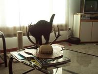 3/15 Cat trying to eat my antlers