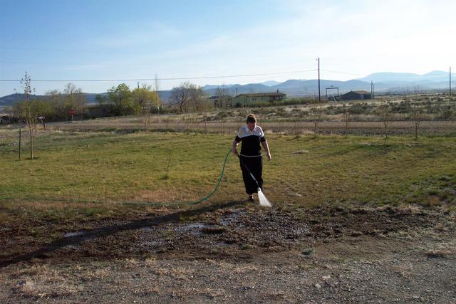 4/26 Michelle watering where we hope grass will grow again