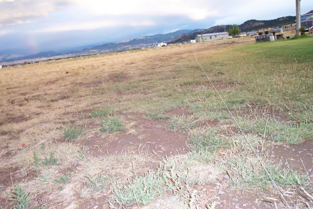 Looking down the property line