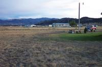 Property line and the ruts/worn area from the neighbors' pseudo driveway.