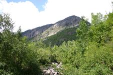 Glacier NP & Polson car Show