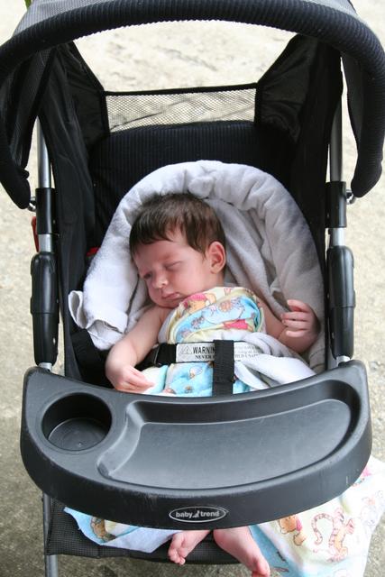 Joleigh in the stroller