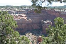 IMG_0597.JPG