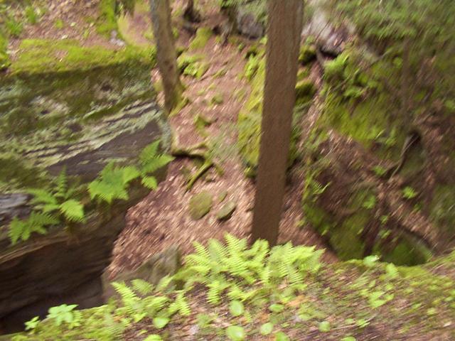 DCP_0087.jpg