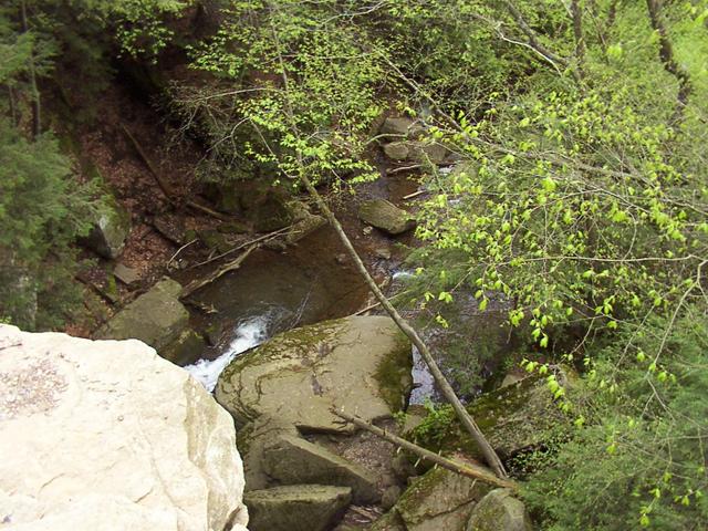 DCP_0098.jpg