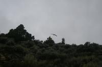 img_4697