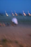 IMG_9179