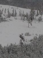 IMG_20140105_103410_174