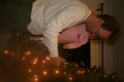 IMG_7288.JPG
