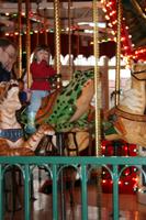 IMG_6830