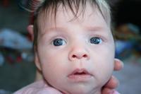 IMG_7432