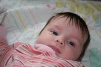 IMG_7536