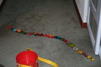 IMG_7537